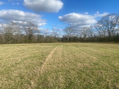 /international/us/01-county-road-3328-brundidge-al-110097511428/