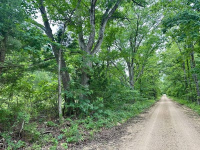 /international/us/carter-242-grandin-mo-110108233473/