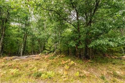 /international/us/001-birch-lake-road-barnes-wi-110110281289/