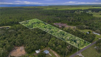 /international/us/vannote-road-pierson-fl-110110322340/