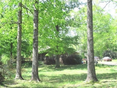 /international/us/557-highway-469-n-florence-ms-110099382340/