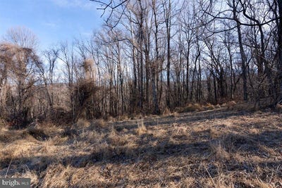 /international/us/tbd-overlook-mountain-rd-elkton-va-110108815056/