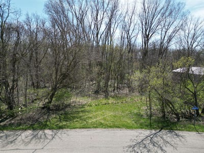 /international/us/v-l-webber-street-ionia-mi-110104534032/