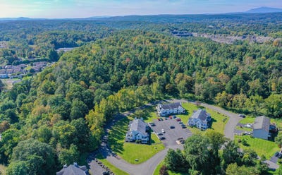 /international/us/tbd-tiger-maple-saugerties-ny-110094470060/?lang=zh-tw