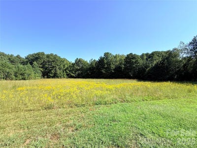 /international/us/1835-josie-road-blackstock-sc-110110175408/