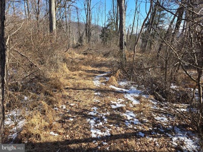 /international/us/hill-road-boyertown-pa-110105887751/