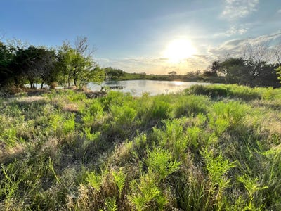 /international/us/217-park-meadow-drive-gustine-tx-110096498525/