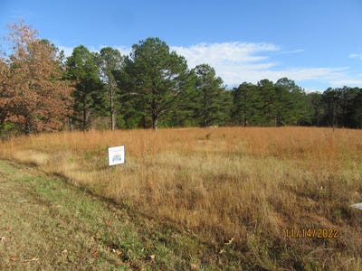 /international/us/e-oakgrove-estates-ripley-ms-110093526686/