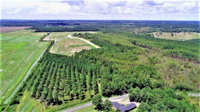 /international/us/plat-e1171-8-summerton-sc-110108031926/