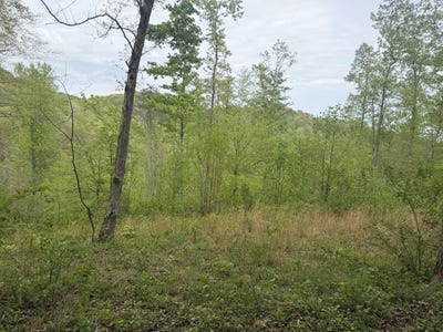 /international/us/999-big-cave-road-orlando-ky-110107664151/