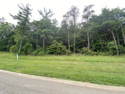/international/us/summit-dr-lot-27-rocky-mount-va-110101457095/