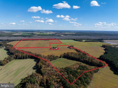 /international/us/indiantown-road-rhodesdale-md-110106211132/