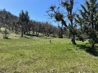 /international/us/lot-55-patricia-av-montague-ca-110100814746/
