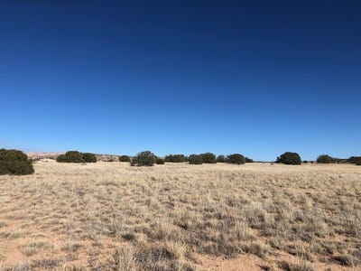 /international/us/0-6-acre-buffalo-trail-abiquiu-nm-110088362803/?lang=zh-tw