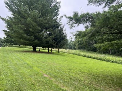 /international/us/3-23-acres-lot-76-77-hawk-point-road-ferryville-wi-110101171589/?lang=zh-cn
