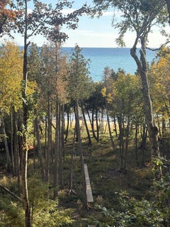 /international/us/4429-wildwood-ln-moran-mi-110120499945/