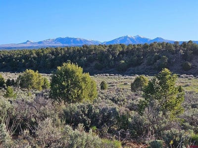 /international/us/1177-county-road-119a-hesperus-co-110108020148/