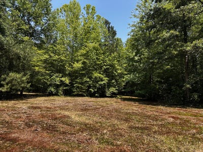 /international/us/parcel-b-000-buckley-hall-rd-dutton-va-110101091096/