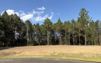 /international/us/summerour-road-lot-1-lucedale-ms-110102097632/