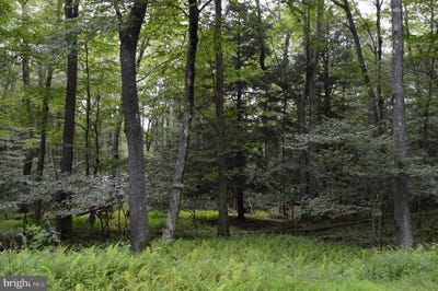 /international/us/lot-256-azalea-ln-terra-alta-wv-110101829820/