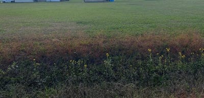 /international/us/roy-st-lot-13-plattenville-la-110104445025/
