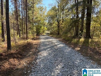 /international/us/us-hwy-231-mathews-al-110105636463/