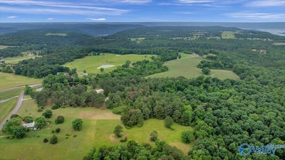/international/us/7-10-acres-county-road-44-section-al-110092280239/?lang=zh-tw