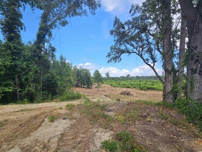 /international/us/157-mingo-chandler-rd-nesmith-sc-110100675391/