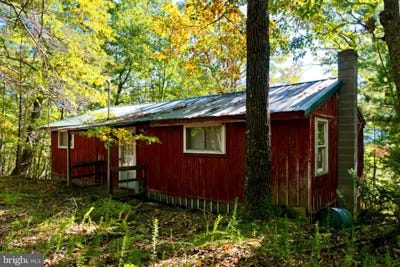 /international/us/195-hinkle-mt-road-moorefield-wv-110120452526/