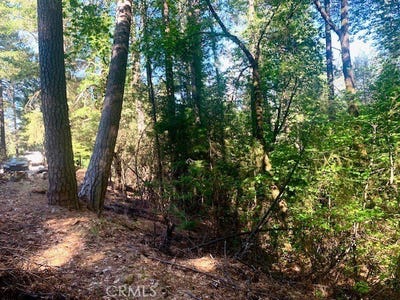 /international/us/17325-fernbrook-middletown-ca-110107334957/