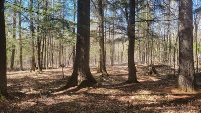 /international/us/n2233-hwy-13-ogema-wi-110100898022/