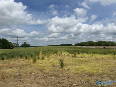 /international/us/54-acres-hwy-207-anderson-al-110099458238/?lang=pt