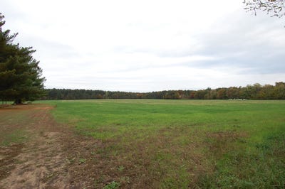 /international/us/allen-s-addition-lone-rock-wi-110088255468/