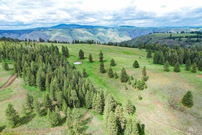 /international/us/205-burnt-creek-road-cottonwood-id-110099643320/