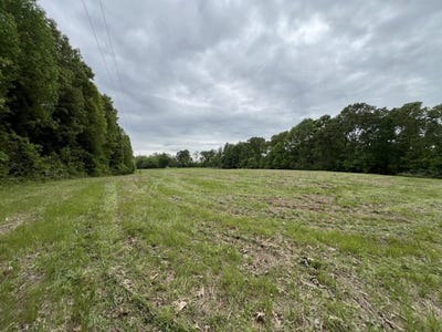 /international/us/3450-e-new-roe-road-adolphus-ky-110099300457/