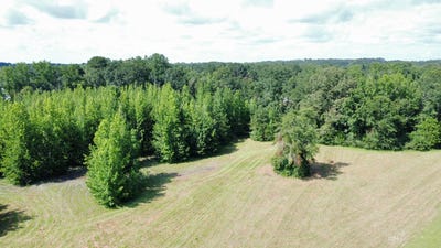 /international/us/0-orlea-ln-tuscaloosa-al-110100591375/