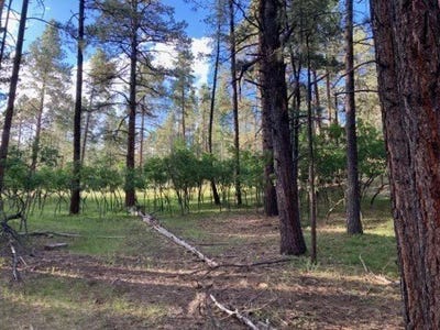 /international/us/tbd-brazos-lodge-estates-tierra-amarilla-nm-110100253375/?lang=zh-tw