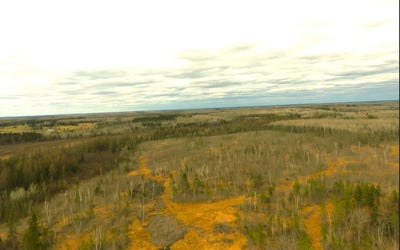 /international/us/tbd40-township-road-5743-alborn-mn-110107778360/