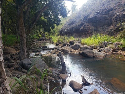 /international/us/64-486-kamehameha-highway-haleiwa-hi-110103049267/