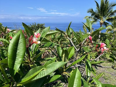 /international/us/kaohe-rd-captain-cook-hi-110108108353/