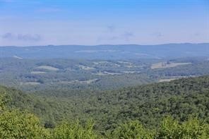 /international/us/lot-4-bluffs-trail-donegal-pa-110098954127/?lang=en