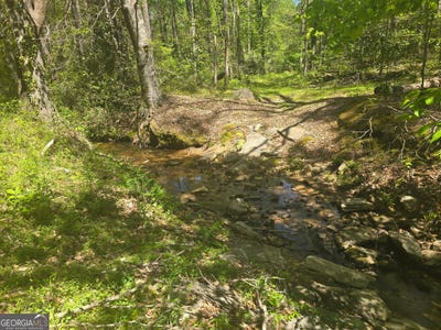 /international/us/hilltop-lane-toccoa-ga-110120485746/