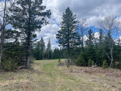 /international/us/on-pociask-rd-butternut-wi-110108012186/