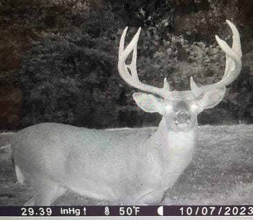 /international/us/0000-pike-443-curryville-mo-110106932696/