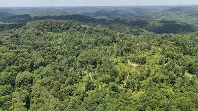 /international/us/255-fanghorn-lane-shinnston-wv-110109187098/