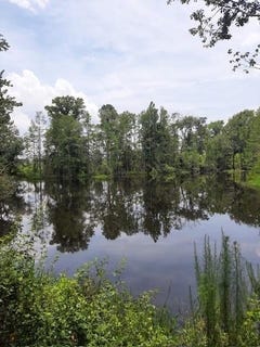 /international/us/928-mt-pleasant-ch-rd-pearson-ga-110109041658/