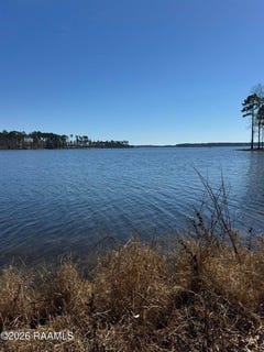 /international/us/lot-13-ramsey-road-chatham-la-110106671263/