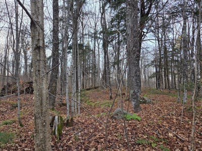 /international/us/off-forest-road-3979-watersmeet-mi-110103523713/