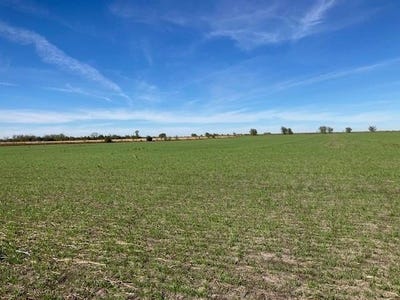 /international/us/0000-fm-198-lake-creek-tx-110100776092/