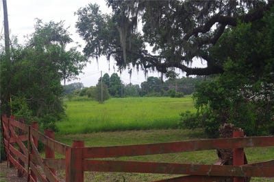 /international/us/6501-muck-pond-road-seffner-fl-110100685272/